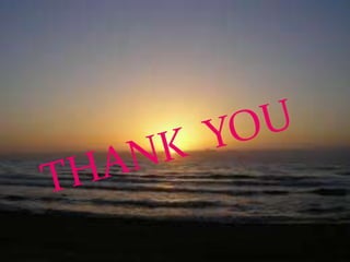 Maxillary permenent lateral  incisor