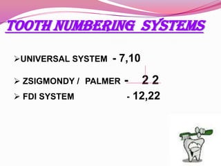 TOOTH NUMBERING SYSTEMS
UNIVERSAL SYSTEM

- 7,10

 ZSIGMONDY / PALMER

-

22

 FDI SYSTEM

-

12,22

 