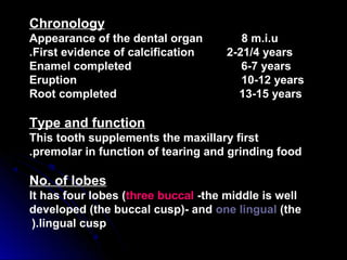 Chronology
Appearance of the dental organ 8 m.i.u
First evidence of calcification 2-21/4 years.
Enamel completed 6-7 years
Eruption 10-12 years
Root completed 13-15 years
Type and function
This tooth supplements the maxillary first
premolar in function of tearing and grinding food.
No. of lobes
It has four lobes (three buccal -the middle is well
developed (the buccal cusp)- and one lingual (the
lingual cusp).
 
