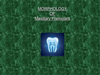 MORPHOLOGYMORPHOLOGY
OFOF
Maxillary PremolarsMaxillary Premolars
 