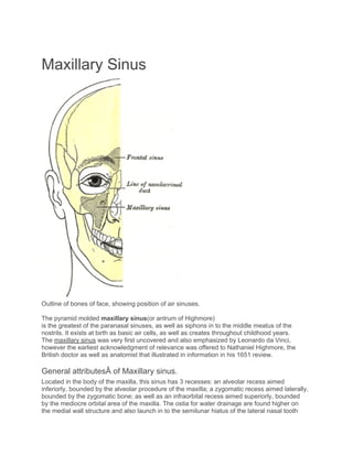 Maxillary Sinus




Outline of bones of face, showing position of air sinuses.

The pyramid molded maxillary sinus(or antrum of Highmore)
is the greatest of the paranasal sinuses, as well as siphons in to the middle meatus of the
nostrils. It exists at birth as basic air cells, as well as creates throughout childhood years.
The maxillary sinus was very first uncovered and also emphasized by Leonardo da Vinci,
however the earliest acknowledgment of relevance was offered to Nathaniel Highmore, the
British doctor as well as anatomist that illustrated in information in his 1651 review.

General attributesÂ of Maxillary sinus.
Located in the body of the maxilla, this sinus has 3 recesses: an alveolar recess aimed
inferiorly, bounded by the alveolar procedure of the maxilla; a zygomatic recess aimed laterally,
bounded by the zygomatic bone; as well as an infraorbital recess aimed superiorly, bounded
by the mediocre orbital area of the maxilla. The ostia for water drainage are found higher on
the medial wall structure and also launch in to the semilunar hiatus of the lateral nasal tooth
 