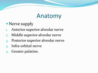 Anatomy
 Nerve supply
1. Anterior superior alveolar nerve
2. Middle superior alveolar nerve
3. Posterior superior alveolar nerve
4. Infra-orbital nerve
5. Greater palatine.
 