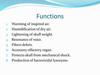 Functions
1. Warming of inspired air.
2. Humidification of dry air.
3. Lightening of skull weight.
4. Resonance of voice.
5. Filters debris.
6. Accessory olfactory organ.
7. Protects skull from mechanical shock.
8. Production of bactericidal lysozyme.
 