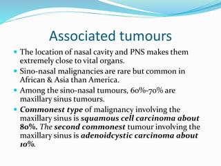 Associated tumours
 The location of nasal cavity and PNS makes them
extremely close to vital organs.
 Sino-nasal malignancies are rare but common in
African & Asia than America.
 Among the sino-nasal tumours, 60%-70% are
maxillary sinus tumours.
 Commonest type of malignancy involving the
maxillary sinus is squamous cell carcinoma about
80%. The second commonest tumour involving the
maxillary sinus is adenoidcystic carcinoma about
10%.
 