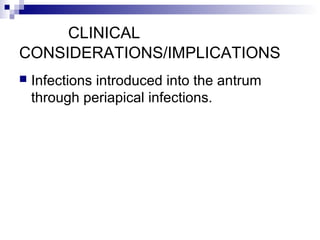 CLINICAL
CONSIDERATIONS/IMPLICATIONS
 Infections introduced into the antrum
through periapical infections.
 
