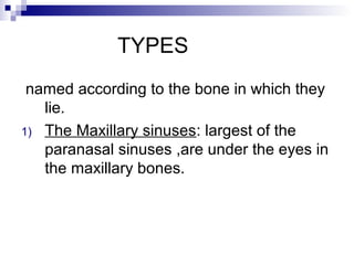 TYPES
named according to the bone in which they
lie.
1) The Maxillary sinuses: largest of the
paranasal sinuses ,are under the eyes in
the maxillary bones.
 