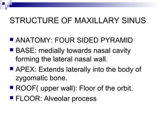 STRUCTURE OF MAXILLARY SINUS
 ANATOMY: FOUR SIDED PYRAMID
 BASE: medially towards nasal cavity
forming the lateral nasal wall.
 APEX: Extends laterally into the body of
zygomatic bone.
 ROOF( upper wall): Floor of the orbit.
 FLOOR: Alveolar process
 