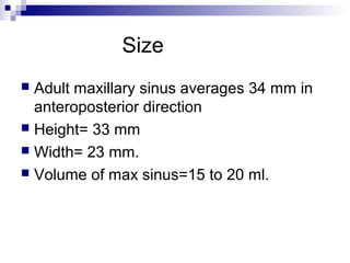 Size
 Adult maxillary sinus averages 34 mm in
anteroposterior direction
 Height= 33 mm
 Width= 23 mm.
 Volume of max sinus=15 to 20 ml.
 