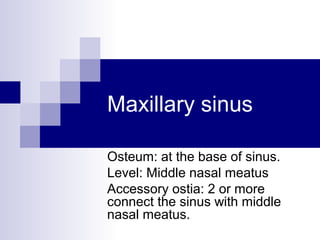 Maxillary sinus
Osteum: at the base of sinus.
Level: Middle nasal meatus
Accessory ostia: 2 or more
connect the sinus with middle
nasal meatus.
 