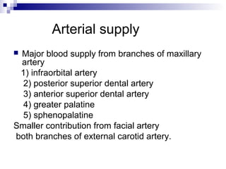 Arterial supply
 Major blood supply from branches of maxillary
artery
1) infraorbital artery
2) posterior superior dental artery
3) anterior superior dental artery
4) greater palatine
5) sphenopalatine
Smaller contribution from facial artery
both branches of external carotid artery.
 