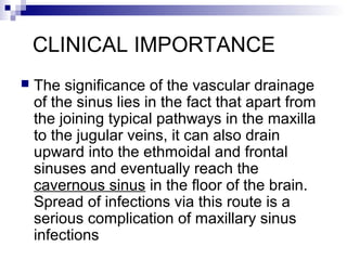 CLINICAL IMPORTANCE
 The significance of the vascular drainage
of the sinus lies in the fact that apart from
the joining typical pathways in the maxilla
to the jugular veins, it can also drain
upward into the ethmoidal and frontal
sinuses and eventually reach the
cavernous sinus in the floor of the brain.
Spread of infections via this route is a
serious complication of maxillary sinus
infections
 