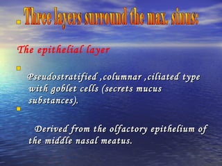 Pseudostratified ,columnar ,ciliated typePseudostratified ,columnar ,ciliated type
with goblet cells (secrets mucuswith goblet cells (secrets mucus
substances).substances).
Derived from the olfactory epithelium ofDerived from the olfactory epithelium of
the middle nasal meatus.the middle nasal meatus.
The epithelial layer
 