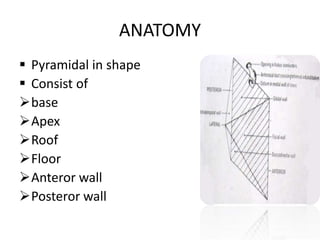 maxillarysinus-170705134531 [Autosaved].pptx