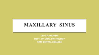 MAXILLARY SINUS
DR.G.NANDHINI
DEPT. OF ORAL PATHOLOGY
SRM DENTAL COLLEGE
 