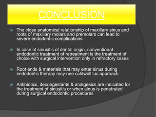 CONCLUSION
 The close anatomical relationship of maxillary sinus and
roots of maxillary molars and premolars can lead to
severe endodontic complications
 In case of sinusitis of dental origin, conventional
endodontic treatment of retreatment is the treatment of
choice with surgical intervention only in refractory cases
 Root ends & materials that may enter sinus during
endodontic therapy may nee caldwell luc approach
 Antibiotics, decongestants & analgesics are indicated for
the treatment of sinusitis or when sinus is penetrated
during surgical endodontic procedures
 