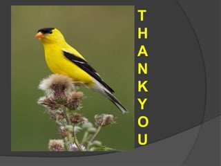 T
H
A
N
K
Y
O
U
 