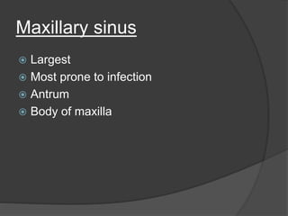 Maxillary sinus
 Largest
 Most prone to infection
 Antrum
 Body of maxilla
 