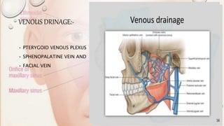 VENOUS DRINAGE:-
• PTERYGOID VENOUS PLEXUS
• SPHENOPALATINE VEIN AND
• FACIAL VEIN
 