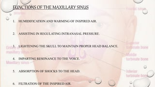 FUNCTIONS OF THE MAXILLARY SINUS
1. HUMIDIFICATION AND WARMING OF INSPIRED AIR.
2. ASSISTING IN REGULATING INTRANASAL PRESSURE.
3. LIGHTENING THE SKULL TO MAINTAIN PROPER HEAD BALANCE.
4. IMPARTING RESONANCE TO THE VOICE.
5. ABSORPTION OF SHOCKS TO THE HEAD.
6. FILTRATION OF THE INSPIRED AIR.
 