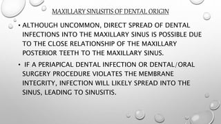 MAXILLARY SINUSITIS OF DENTAL ORIGIN
• ALTHOUGH UNCOMMON, DIRECT SPREAD OF DENTAL
INFECTIONS INTO THE MAXILLARY SINUS IS POSSIBLE DUE
TO THE CLOSE RELATIONSHIP OF THE MAXILLARY
POSTERIOR TEETH TO THE MAXILLARY SINUS.
• IF A PERIAPICAL DENTAL INFECTION OR DENTAL/ORAL
SURGERY PROCEDURE VIOLATES THE MEMBRANE
INTEGRITY, INFECTION WILL LIKELY SPREAD INTO THE
SINUS, LEADING TO SINUSITIS.
 