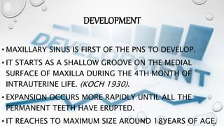 DEVELOPMENT
• MAXILLARY SINUS IS FIRST OF THE PNS TO DEVELOP.
• IT STARTS AS A SHALLOW GROOVE ON THE MEDIAL
SURFACE OF MAXILLA DURING THE 4TH MONTH OF
INTRAUTERINE LIFE. (KOCH 1930).
• EXPANSION OCCURS MORE RAPIDLY UNTIL ALL THE
PERMANENT TEETH HAVE ERUPTED.
• IT REACHES TO MAXIMUM SIZE AROUND 18YEARS OF AGE.
 