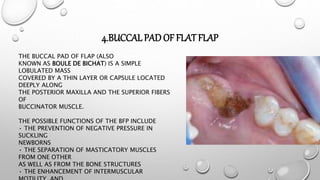 4.BUCCALPAD OF FLAT FLAP
THE BUCCAL PAD OF FLAP (ALSO
KNOWN AS BOULE DE BICHAT) IS A SIMPLE
LOBULATED MASS
COVERED BY A THIN LAYER OR CAPSULE LOCATED
DEEPLY ALONG
THE POSTERIOR MAXILLA AND THE SUPERIOR FIBERS
OF
BUCCINATOR MUSCLE.
THE POSSIBLE FUNCTIONS OF THE BFP INCLUDE
• THE PREVENTION OF NEGATIVE PRESSURE IN
SUCKLING
NEWBORNS
• THE SEPARATION OF MASTICATORY MUSCLES
FROM ONE OTHER
AS WELL AS FROM THE BONE STRUCTURES
• THE ENHANCEMENT OF INTERMUSCULAR
 