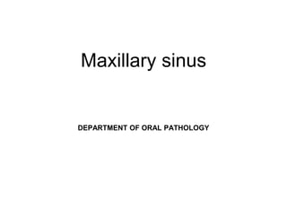 Maxillary sinus
DEPARTMENT OF ORAL PATHOLOGY
 