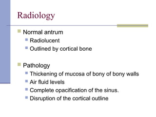 Normal Antrum Visual Comprehensive Overview of Maxillary Sinus Anatomy, Pathology, and ...