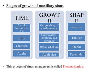 Comprehensive Overview of Maxillary Sinus Anatomy, Development, and ...