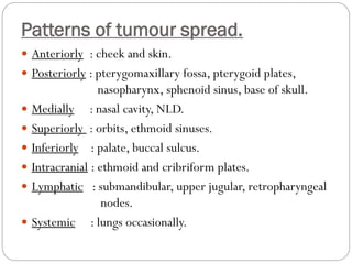 Patterns of tumour spread.
 Anteriorly : cheek and skin.
 Posteriorly : pterygomaxillary fossa, pterygoid plates,
nasopharynx, sphenoid sinus, base of skull.
 Medially : nasal cavity, NLD.
 Superiorly : orbits, ethmoid sinuses.
 Inferiorly : palate, buccal sulcus.
 Intracranial : ethmoid and cribriform plates.
 Lymphatic : submandibular, upper jugular, retropharyngeal
nodes.
 Systemic : lungs occasionally.
 