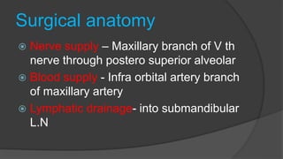 Surgical anatomy
 Nerve supply – Maxillary branch of V th
nerve through postero superior alveolar
 Blood supply - Infra orbital artery branch
of maxillary artery
 Lymphatic drainage- into submandibular
L.N
 