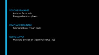 VENOUS DRAINAGE
Anterior facial vein
Pterygoid venous plexus
LYMPHATIC DRAINAGE
Submandibular lymph node
NERVE SUPPLY
Maxillary division of trigeminal nerve (V2)
 