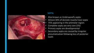 • Also known as Underwood’s septa
• Almost 30% of dentate maxilla have septa
• 75% appearing in the premolar region.
• Complete septa are very rare (1%)
• Primary septa are developmental
• Secondary septa are caused by irregular
pneumatisation following loss of posterior
teeth
SEPTA
 
