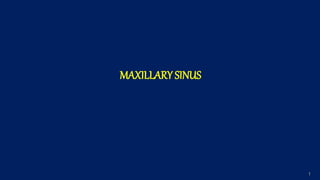 1
MAXILLARY SINUS
 