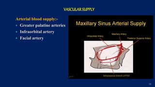 VASCULAR SUPPLY
Arterial blood supply:-
 Greater palatine arteries
 Infraorbital artery
 Facial artery
19
 