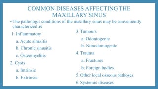 COMMON DISEASES AFFECTING THE
MAXILLARY SINUS
• The pathologic conditions of the maxillary sinus may be conveniently
characterized as
1. Inflammatory
a. Acute sinusitis
b. Chronic sinusitis
c. Osteomyelitis
2. Cysts
a. Intrinsic
b. Extrinsic
3. Tumours
a. Odontogenic
b. Nonodontogenic
4. Trauma
a. Fractures
b. Foreign bodies
5. Other local osseous pathoses.
6. Systemic diseases
 