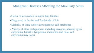 Malignant Diseases Affecting the Maxillary Sinus
• Occur twice as often in males than females
• Diagnosed in the 6th and 7th decade of life
• Majority of these tumors are squamous cell carcinoma
• Variety of other malignancies including sarcoma, adenoid cystic
carcinoma, burkitt’s lymphoma, melanoma and basal cell
carcinoma may occur.
 