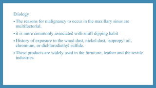 Etiology
• The reasons for malignancy to occur in the maxillary sinus are
multifactorial.
• it is more commonly associated with snuff dipping habit
• History of exposure to the wood dust, nickel dust, isopropyl oil,
chromium, or dichlorodiethyl sulfide.
• These products are widely used in the furniture, leather and the textile
industries.
 