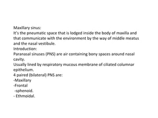 Maxillary sinus:
It’s the pneumatic space that is lodged inside the body of maxilla and
that communicate with the environment by the way of middle meatus
and the nasal vestibule.
Introduction:
Paranasal sinuses (PNS) are air containing bony spaces around nasal
cavity.
Usually lined by respiratory mucous membrane of ciliated columnar
epithelium.
4 paired (bilateral) PNS are:
-Maxillary
-Frontal
-sphenoid.
- Ethmoidal.
 