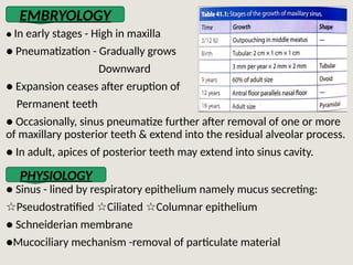 Maxillary sinus powerpoint presentation in detail | PPTX