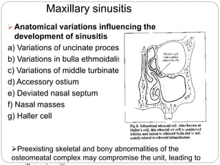 Accessory Ostium Maxillary sinus presentation | PPTX