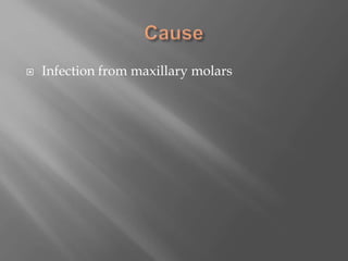  Infection from maxillary molars
 