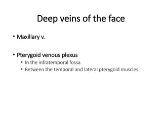 Deep veins of the face
• Maxillary v.
• Pterygoid venous plexus
• In the infratemporal fossa
• Between the temporal and lateral pterygoid muscles
 