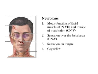 Neurologic
1. Motor function of facial
muscles (CN VII) and muscle
of mastication (CN V)
2. Sensation over the facial area
(CN-V)
3. Sensation on tongue
4. Gag reflex
 