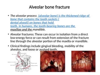 Alveolar bone fracture
• The alveolar process (alveolar bone) is the thickened ridge of
bone that contains the tooth sockets (
dental alveoli) on bones that hold
teeth. In humans, the tooth-bearing bones are the
maxillae and the mandible.
• Alveolar fractures: These can occur in isolation from a direct
low-energy force or can result from extension of the fracture
line through the alveolar portion of the maxilla or mandible.
• Clinical findings include gingival bleeding, mobility of the
alveolus, and loose or avulsed teeth.
 
