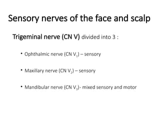 Sensory nerves of the face and scalp
Trigeminal nerve (CN V) divided into 3 :
• Ophthalmic nerve (CN V1) – sensory
• Maxillary nerve (CN V2) – sensory
• Mandibular nerve (CN V3)- mixed sensory and motor
 