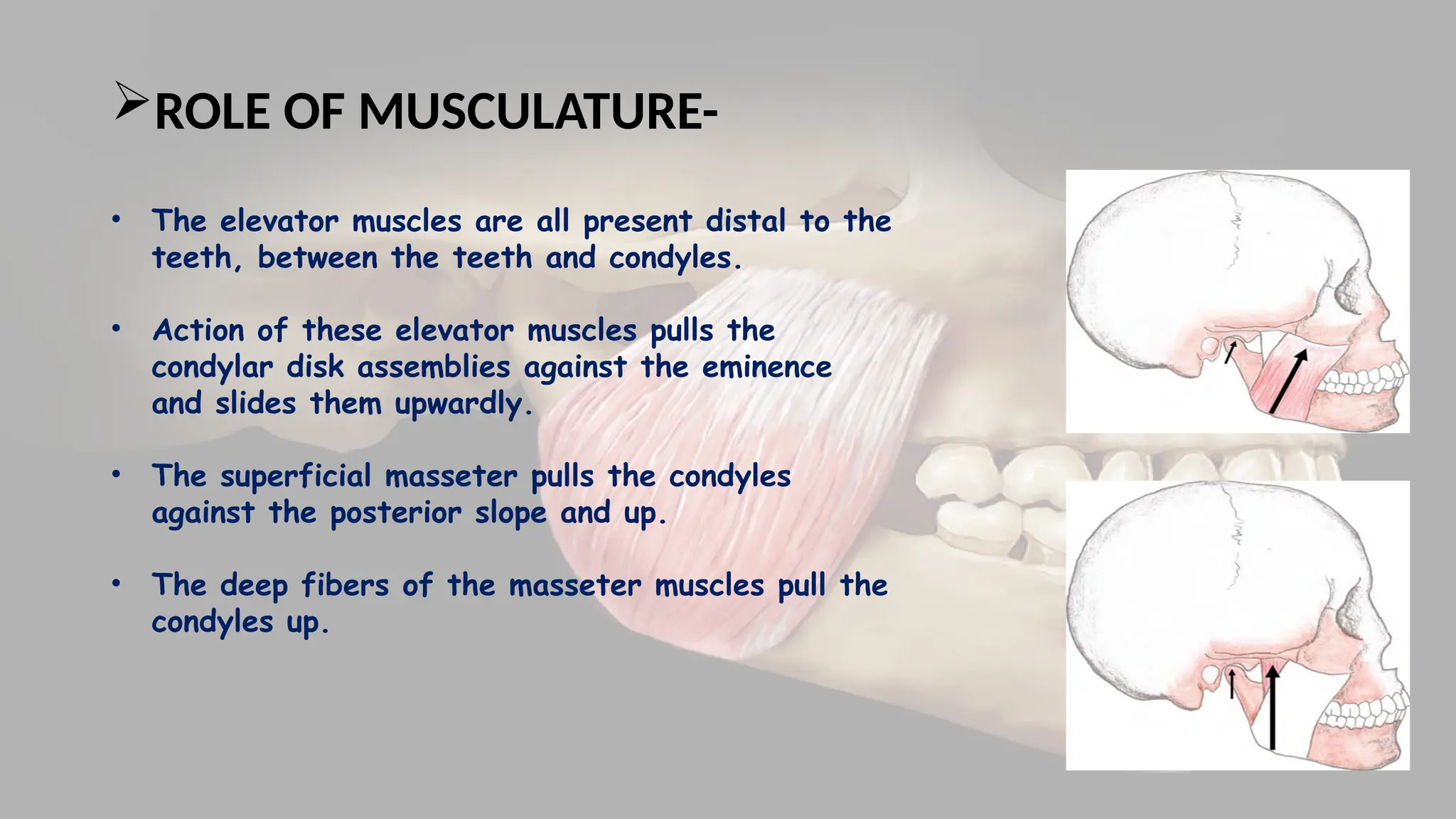 MAXILLO-MANDIBULAR RELATIONS IN PROSTHODONTICS | PPTX
