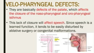 Maxillofacial defects . Congenital and non | PPTX