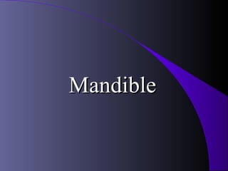 Mandible
 