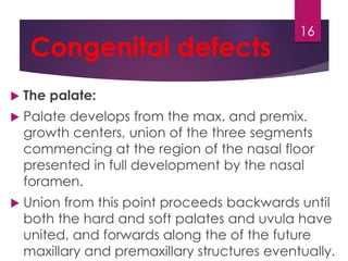 Congenital defects 
 The palate: 
16 
 Palate develops from the max. and premix. 
growth centers, union of the three segments 
commencing at the region of the nasal floor 
presented in full development by the nasal 
foramen. 
 Union from this point proceeds backwards until 
both the hard and soft palates and uvula have 
united, and forwards along the of the future 
maxillary and premaxillary structures eventually. 
 
